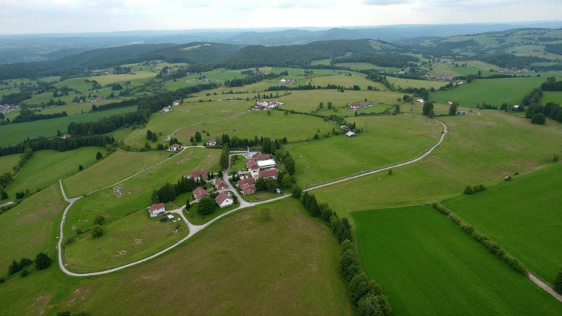 Ceny działek w Lipniku — ile kosztuje grunt w tej miejscowości?